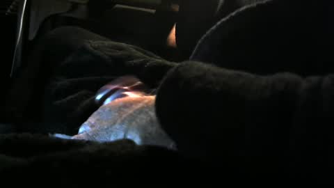 bear4146 online show from 12/08/24, 03:24