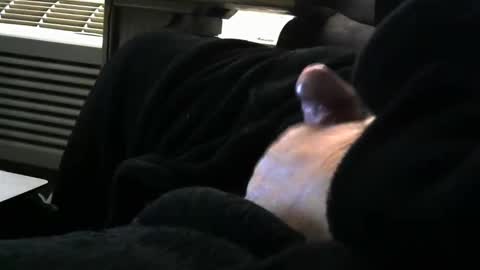 bear4146 online show from 03/29/26, 01:00