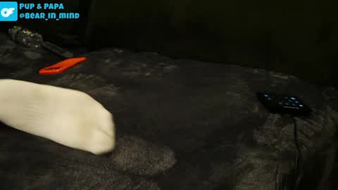 Snapshot of bear_in_mind chatting on 04/22/26, 01:19 BareBear online show from 04/22/26, 01:19