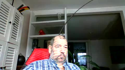 Snapshot of bearacuda555 chatting on 12/07/24, 05:53 Bruno online show from 12/07/24, 05:53