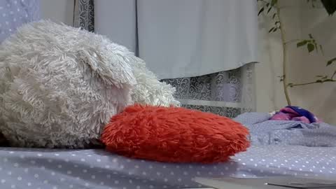 BeatriceTender online show from 03/02/25, 07:45