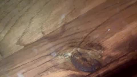 beautifukk online show from 01/14/26, 07:52