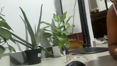 bebesita online show from 04/11/26, 02:27
