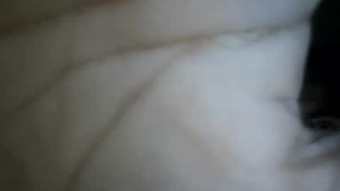 bebosaya93 online show from 12/17/25, 07:25