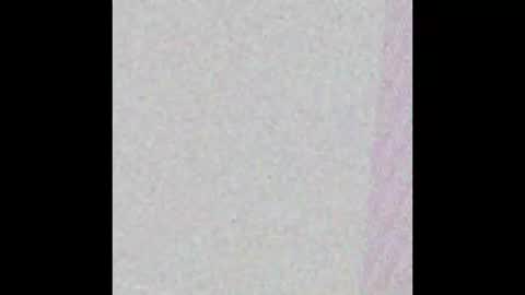 hungnheavy online show from 11/01/25, 07:49