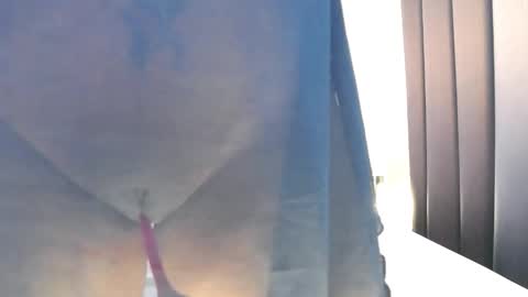 Snapshot of beebeethai chatting on 12/14/24, 04:12 Bee if you ever see the girl who can take 12 inch all the way inside the ass try me online show from 12/14/24, 04:12
