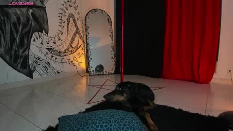 Daniela  ur fav living dead girl  online show from 01/05/25, 12:42