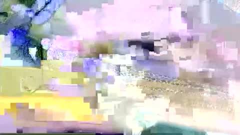 Snapshot of beencee2 chatting on 03/09/26, 05:22 beencee2 online show from 03/09/26, 05:22