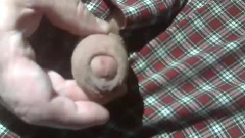  Reservoir Dogs online show from 12/28/24, 12:15