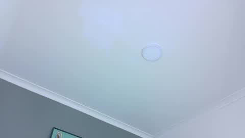 BELA online show from 10/28/25, 11:36