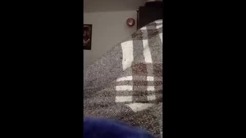 belcebu472402 online show from 11/02/25, 02:41