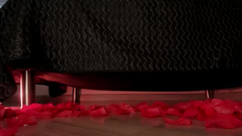 Dessi  online show from 11/21/25, 12:26