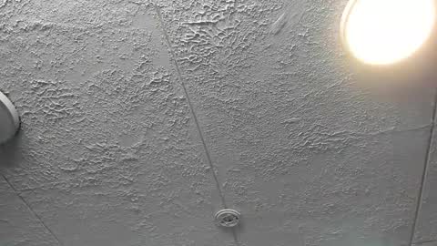  Bella  online show from 12/04/25, 07:22