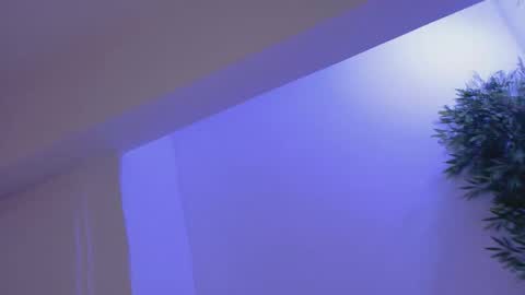 Bella online show from 02/19/26, 08:49