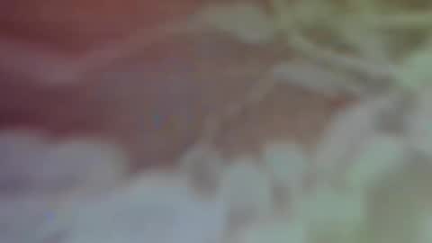 Snapshot of bellaporchxxx chatting on 02/26/25, 02:59 Bella Porch online show from 02/26/25, 02:59