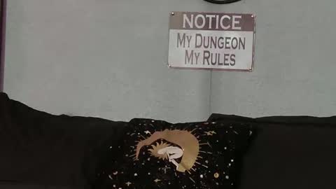 Bellaskeykeeper online show from 02/21/26, 08:37