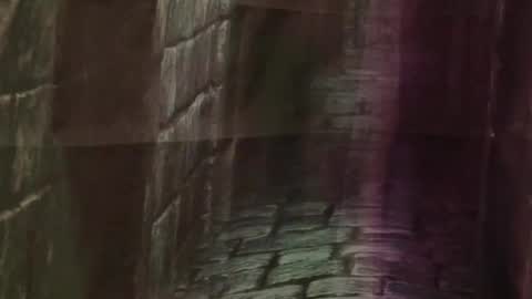 Bellaskeykeeper online show from 03/01/26, 07:54