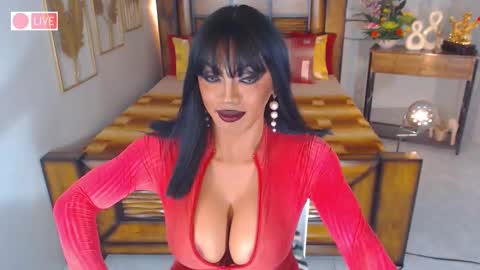 Snapshot of bellatrixxhuckerts chatting on 03/03/25, 04:36 B E L L A T R I X online show from 03/03/25, 04:36