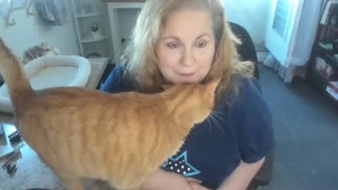 Snapshot of bellavoca chatting on 04/11/26, 06:01 Bellavoca online show from 04/11/26, 06:01