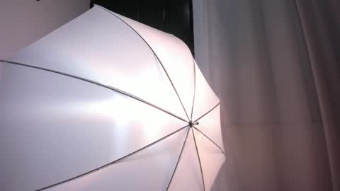 Bella Wild online show from 02/12/26, 12:00