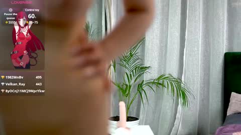 Belle online show from 02/12/25, 11:29