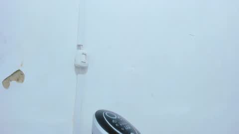 Snapshot of bellota_flak chatting on 12/14/24, 04:56 Bellota Flak online show from 12/14/24, 04:56