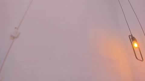 Snapshot of bellota_flak chatting on 12/28/24, 08:26 Bellota Flak online show from 12/28/24, 08:26