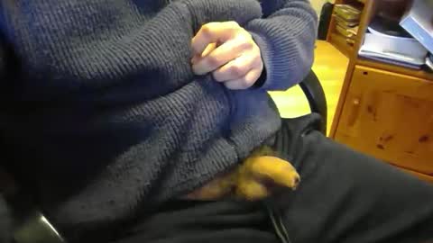 Snapshot of bemichel chatting on 04/21/26, 12:33 jaimetout online show from 04/21/26, 12:33