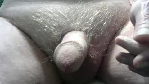 Snapshot of bender41 chatting on 02/18/25, 04:58 bender41 online show from 02/18/25, 04:58