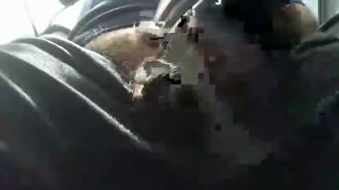 Snapshot of beninoam75 chatting on 10/15/25, 07:03 beninoam75 online show from 10/15/25, 07:03