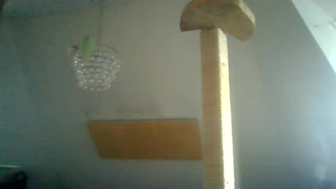 Snapshot of benizio_ chatting on 01/15/25, 10:38 benizio online show from 01/15/25, 10:38