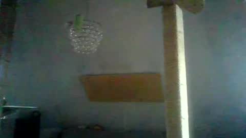 Snapshot of benizio_ chatting on 01/24/25, 02:41 benizio online show from 01/24/25, 02:41