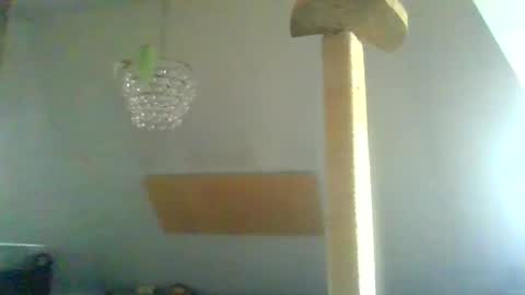 Snapshot of benizio_ chatting on 01/30/25, 11:01 benizio online show from 01/30/25, 11:01