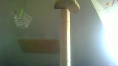 Snapshot of benizio_ chatting on 02/22/25, 11:02 benizio online show from 02/22/25, 11:02