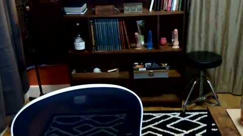 Snapshot of bentmountain chatting on 03/22/26, 07:34 DeniseDavid online show from 03/22/26, 07:34