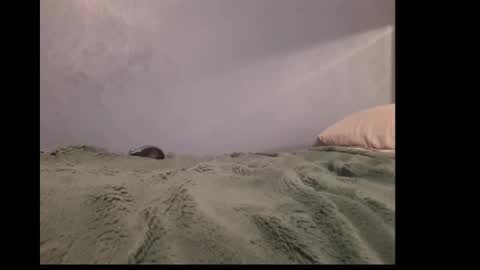 Snapshot of beobenshauna chatting on 12/19/24, 10:02 beobenshauna online show from 12/19/24, 10:02