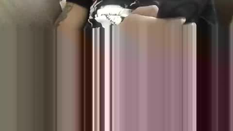 ToxicPipe757 online show from 05/05/26, 04:04
