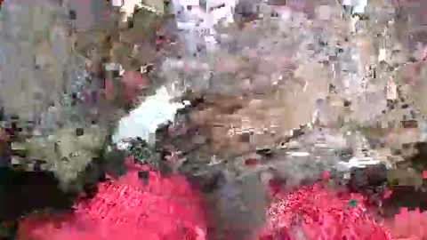 ToxicPipe757 online show from 05/20/26, 05:19