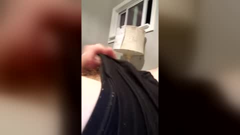 bertpace9296 online show from 07/02/26, 04:18