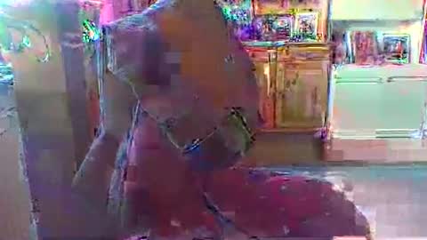 Snapshot of bestmann979994 chatting on 03/01/26, 04:20 bestmann979994 online show from 03/01/26, 04:20