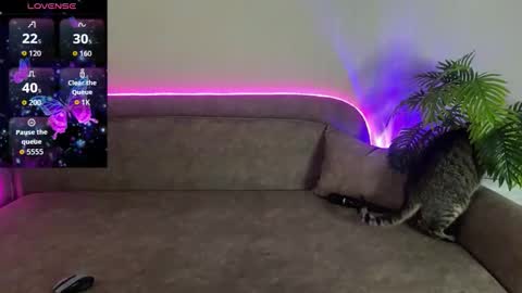 Snapshot of bestteya chatting on 04/12/26, 03:06 Teya online show from 04/12/26, 03:06