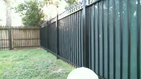 Blue online show from 03/05/26, 11:23