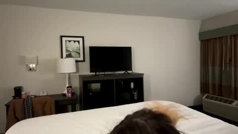 Snapshot of bethanytakesit123 chatting on 12/22/24, 09:44 Bethanytakesitt online show from 12/22/24, 09:44