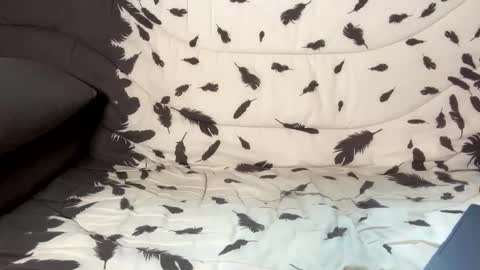 betterthanmen online show from 02/13/25, 08:17