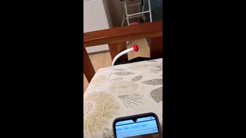 bf2506 online show from 02/12/26, 04:18