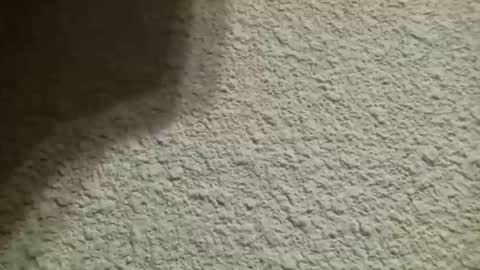 Bigfish123 online show from 10/10/25, 04:44