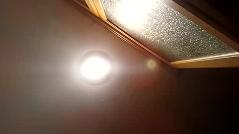 bgiamba21 online show from 10/29/25, 11:50