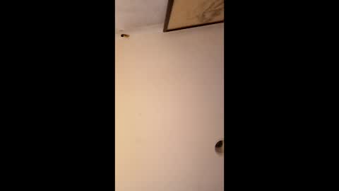 Snapshot of bgiamba21 chatting on 01/12/26, 06:51 bgiamba21 online show from 01/12/26, 06:51