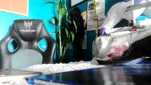 bheb_ji online show from 02/15/26, 06:10