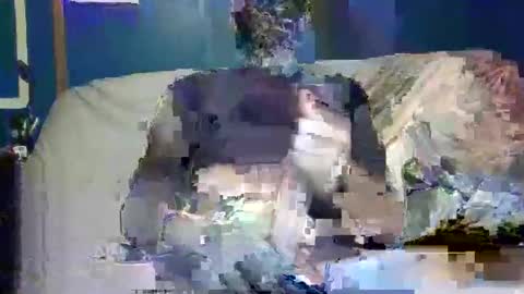 Snapshot of big9inchsnake chatting on 12/09/24, 10:20 big9inchsnake online show from 12/09/24, 10:20